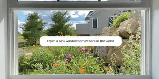 WindowSwap 截图