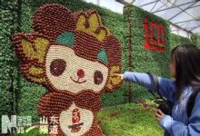 寿光绿豆扒菇 - 识趣