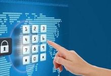 平安树锯了还能活吗 - 识趣