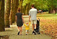 26岁属鼠婚配什么属相最好,属鼠26岁结婚好吗 - 识趣