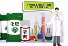 玉麒麟用什么肥料 - 识趣