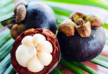 山竹糖尿病人能吃吗 糖尿病人能吃什么水果 - 识趣