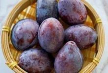 西梅常温能放多久 西梅常温能放多久啊 - 识趣