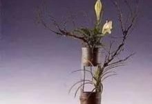 东方式插花的风格特点 - 识趣
