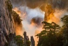 黄山的资料(黄山的资料简介) - 识趣