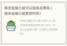 南京金陵小城可以现场买票吗(南京金陵小城要预约吗) - 识趣