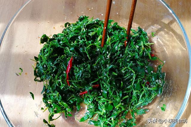春季苜蓿怎么吃（春天不吃又等一年）(13)