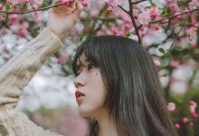 属猪的2023年的运势,属猪的2023年的运势怎么样 - 识趣