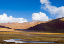 去西藏放养灵魂的朋友圈文案 去西藏旅行的治愈短句(去西藏灵魂的洗涤) - 识趣