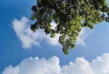 霜降今日到来河北阳光在线气温还将上升 石家庄最高气温可达29℃ - 识趣