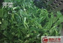 独行菜和荠菜的区别 - 识趣