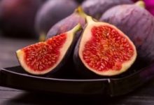 无花果老年人可以吃吗(无花果老人吃好吗) - 识趣