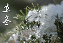 立冬2023年是几月几日星期几 2023年立冬适合定亲吗 - 识趣