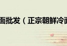 正宗朝鲜冷面批发(正宗朝鲜冷面汤做法) - 识趣