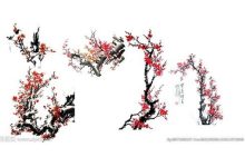 梅花图片(形态特征和养护方法简介) - 识趣