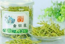 金银花茶怎么泡,可以天天喝吗 - 识趣