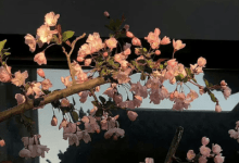 很个性的又很棒的朋友圈短句 极简又高级的文案(特别个性的句子) - 识趣