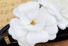 茶花叶子发黄怎么办补救处理方法 黄叶枯萎的原因 - 识趣