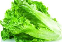 生菜有什么作用 - 识趣