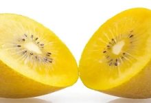像猕猴桃的水果叫什么 - 识趣