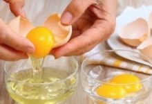 鸡蛋怎么吃最好 鸡蛋怎么吃最好消化 - 识趣