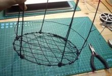 几根烂铁丝,拿来养花竟有如此神效,老花农都惊呆! - 识趣