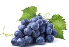 葡萄上面的白点点是什么？夏黑葡萄的皮可以吃吗 - 识趣