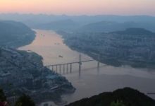 大熊猫的最长寿命是多少?国宝大熊猫的最长寿命是多少? - 识趣