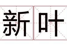 新叶名字的寓意和意思,新叶名字的含义及五行属性 - 识趣