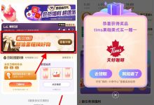 支付宝199积分0.1亓兑冰淇淋 - 识趣